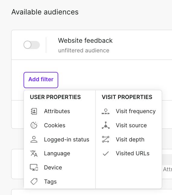 set up who should see your website survey